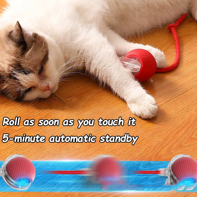 Rechargeable Cat Interactive Ball Toy,  Automatic Rolling Ball with Faux Tail, Smart Electric Mouse Imitation for Cats & Dogs