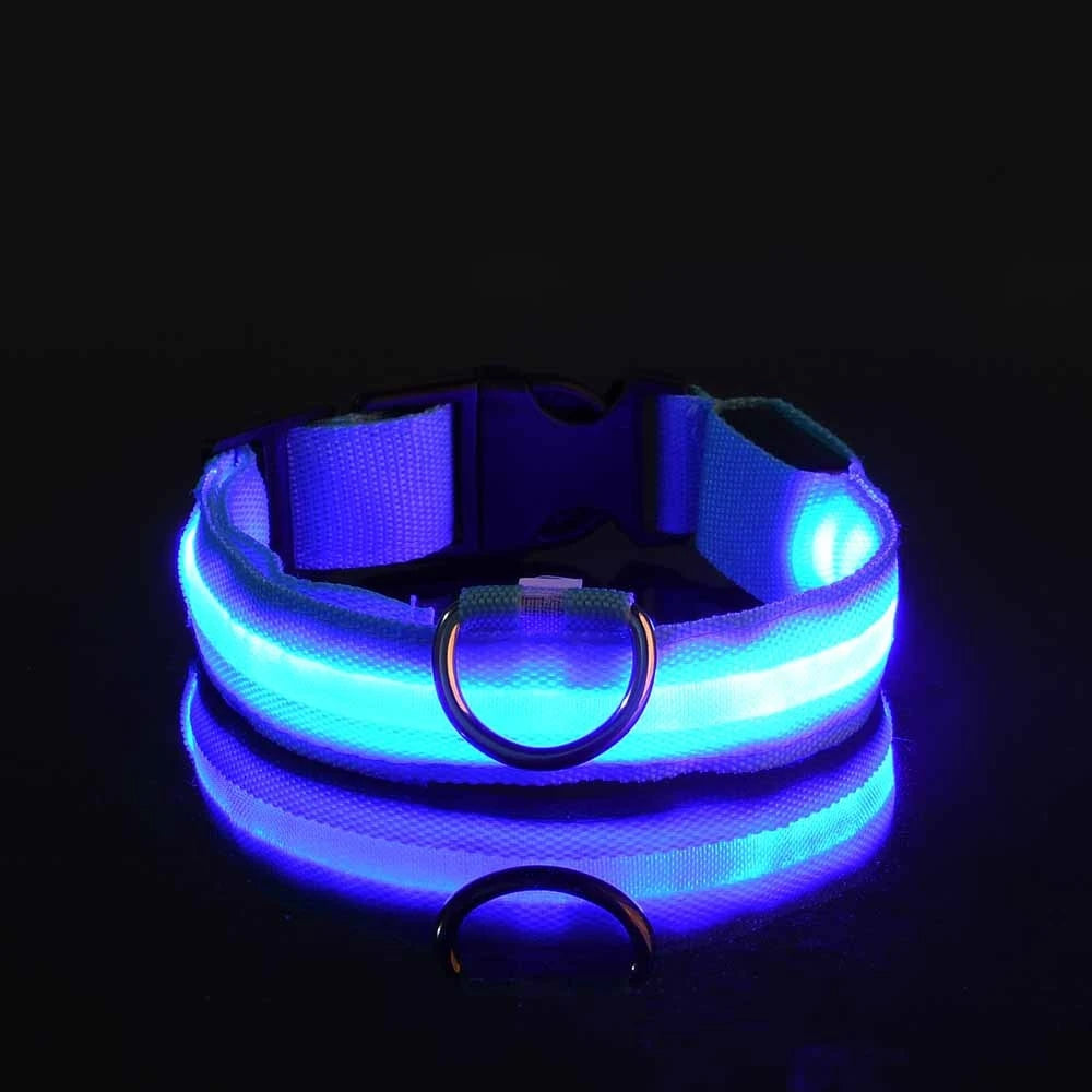 LED Nylon Dog Leash & Collar – Night Safety Flashing Glow in the Dark