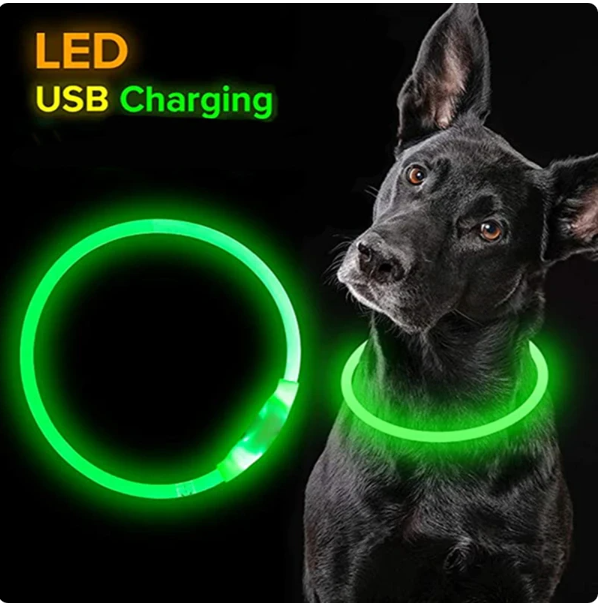 Led Dog Collar Luminous Usb size M 50cm
