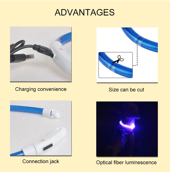 Led Dog Collar Luminous Usb size M 50cm