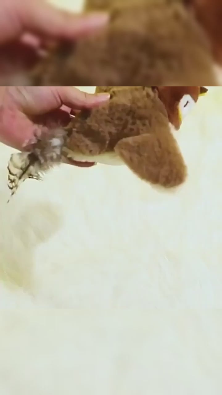 Interactive Rechargeable Chirping Bird Cat Toy with Catnip for Pets