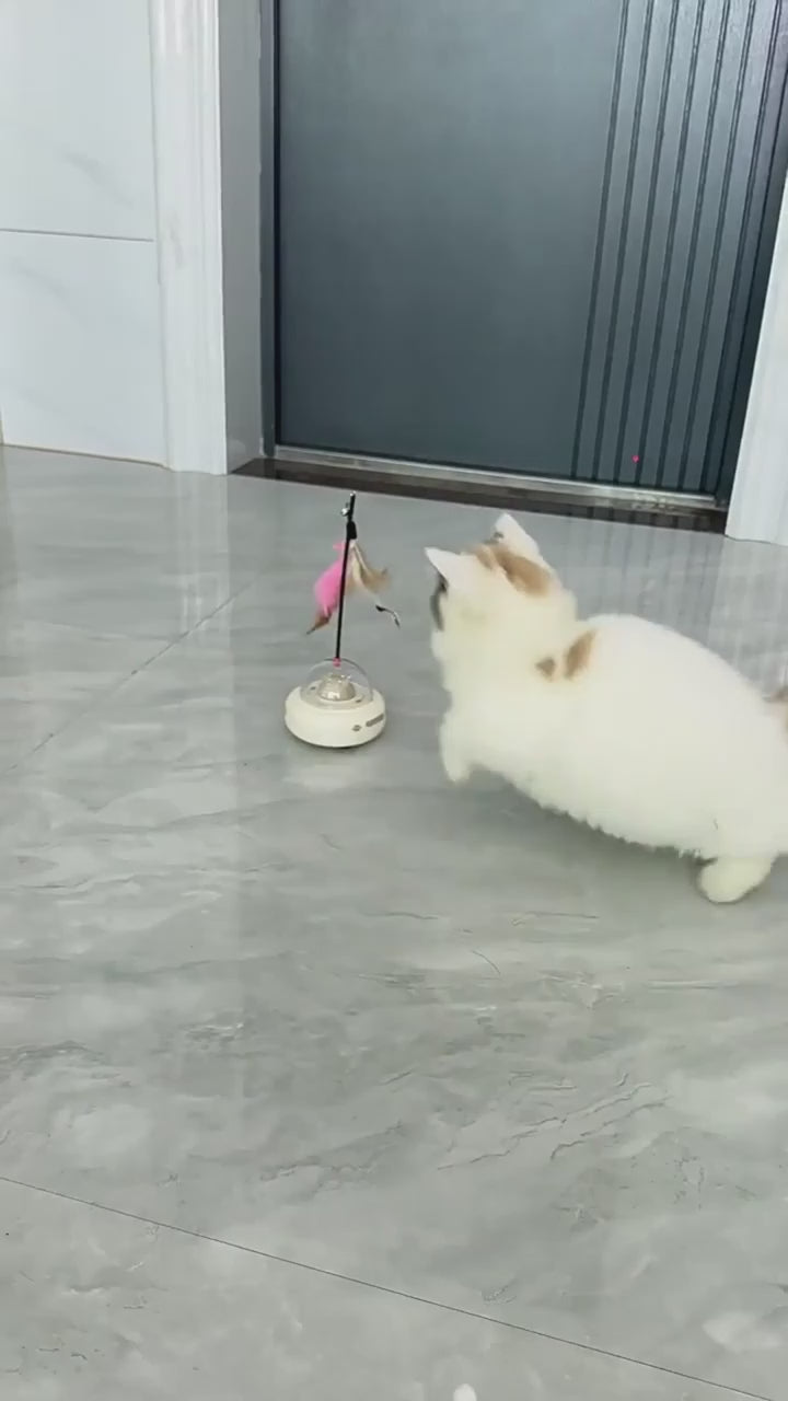 Smart Electric UFO Cat Toy with Bell & Feather Teaser