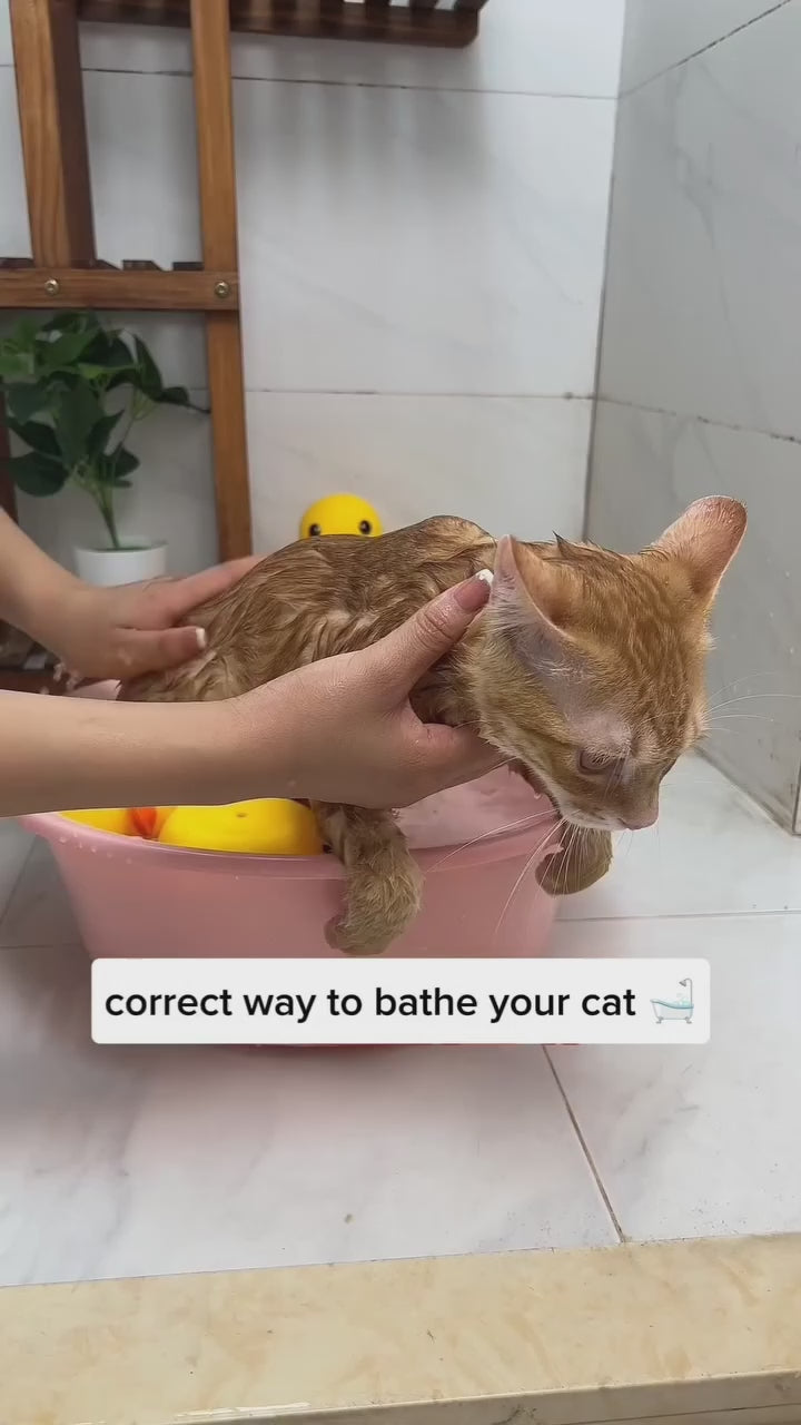 Bathroom Puppy Big Dog Cat Bath Massage Gloves Brush Soft Safety Silicone