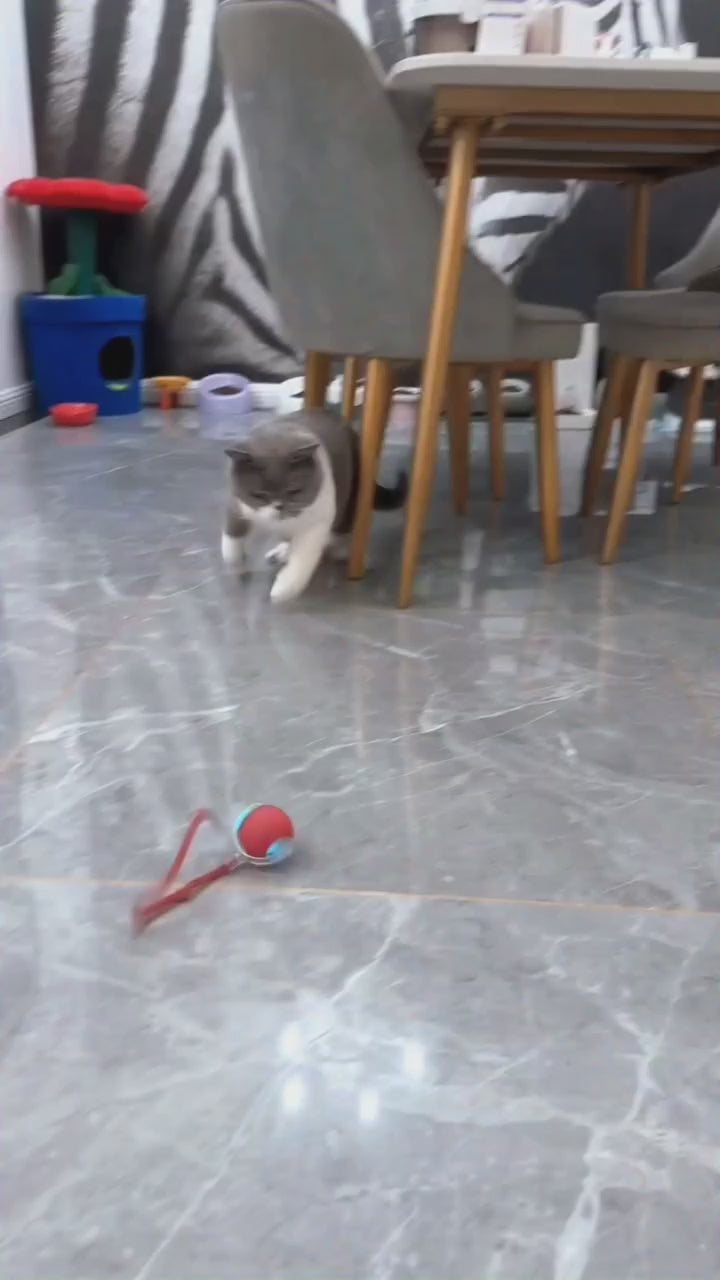 Rechargeable Cat Interactive Ball Toy,  Automatic Rolling Ball with Faux Tail, Smart Electric Mouse Imitation for Cats & Dogs